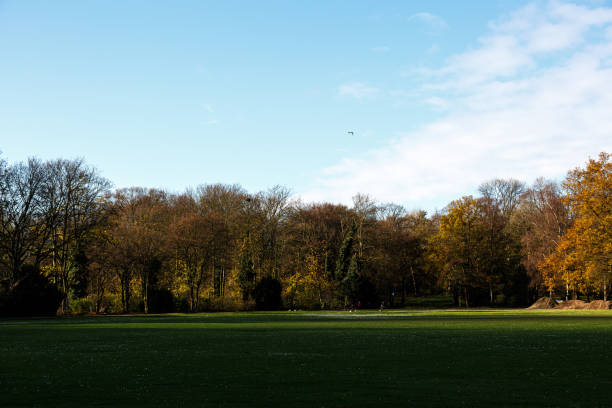 istock Trees, sky and field in a park 1492203310