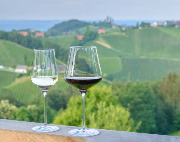 istock Two glasses with red and white wine against a blurred landscape 1492203466