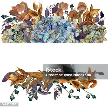istock Hand drawn watercolor illustration of dried hydrangea, eucalyptus, ruscus in a frame, isolated on white background. Botanical drawing of withered flowers. 1492203551