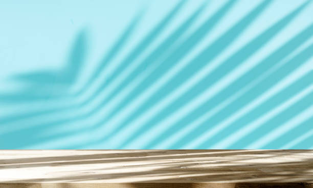 istock Table shadow background. Wooden table and white empty wall with plant shadows. 1492203851