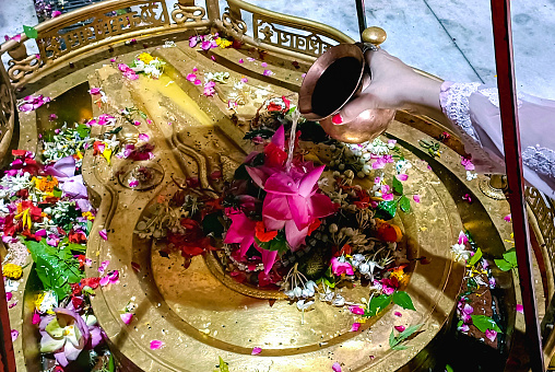 Hindu Devotees offering milk And Water to Shiv Lingam on occasion of Abhishekam in India . Offering Flower and bael leafs to the Lord shiva