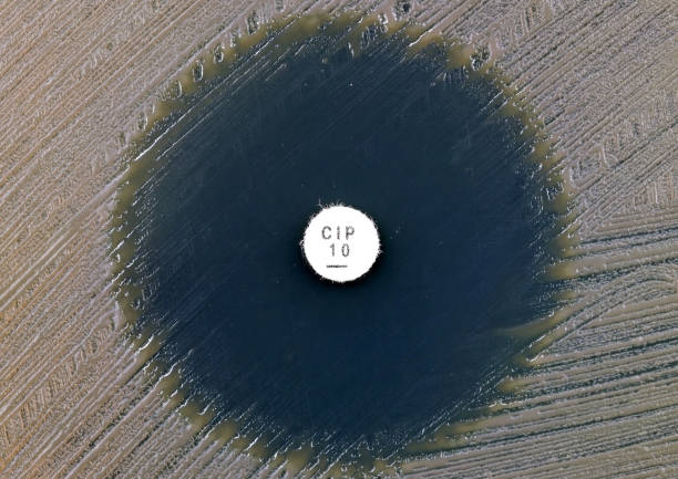 An antibiotic disc placed over a culture of bacteria. Testing microorganisms for antibiotic resistance.
