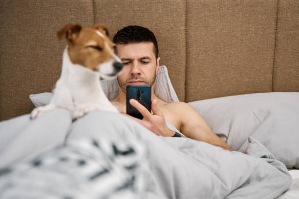 istock Man resting in bed with dog and use smarpthone 1492211827