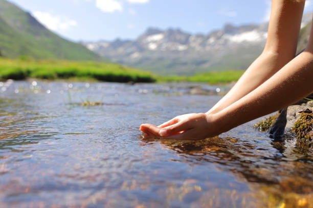 Woman hands catching water from mountain river