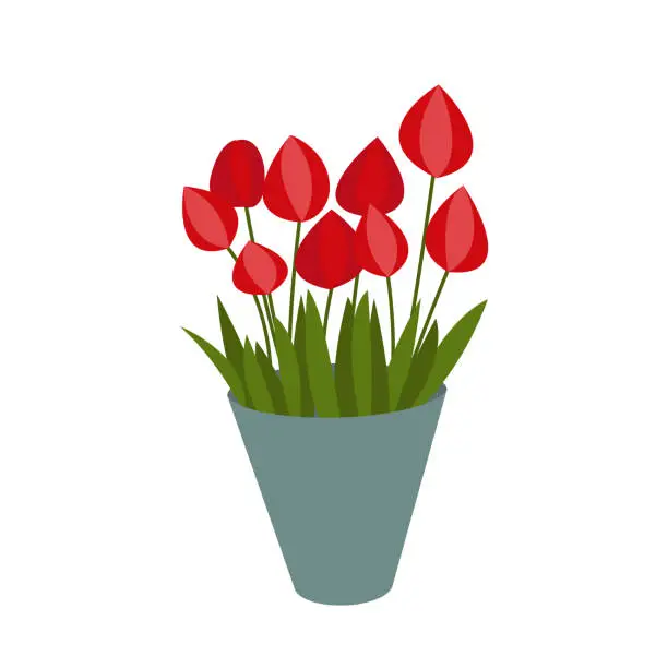 Vector illustration of Red tulips in vase