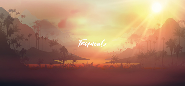 Tropical beach sunset background with palm leaves