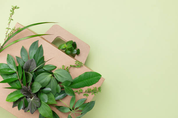 istock Eco package cardboard box with green leaves top view. 1492237769
