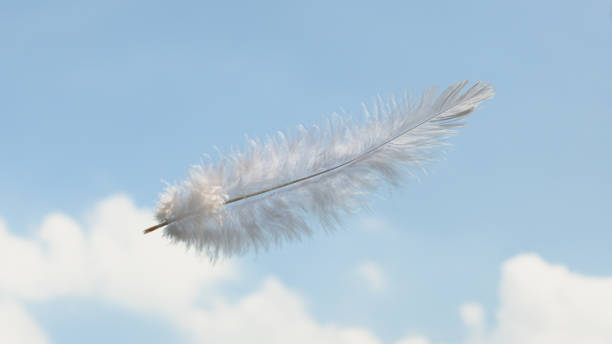 istock Beautiful Soft and Light White Fluffy Feathers Floating inThe Sky with Clouds 1492239920