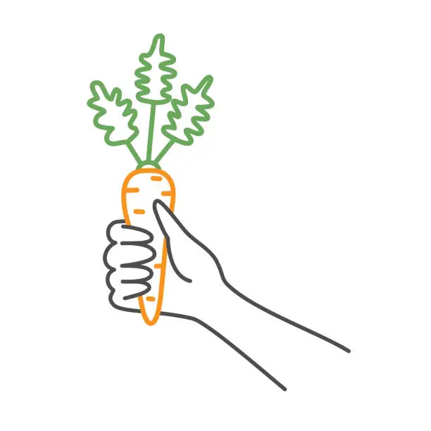 Vector illustration of Hand holding carrot.