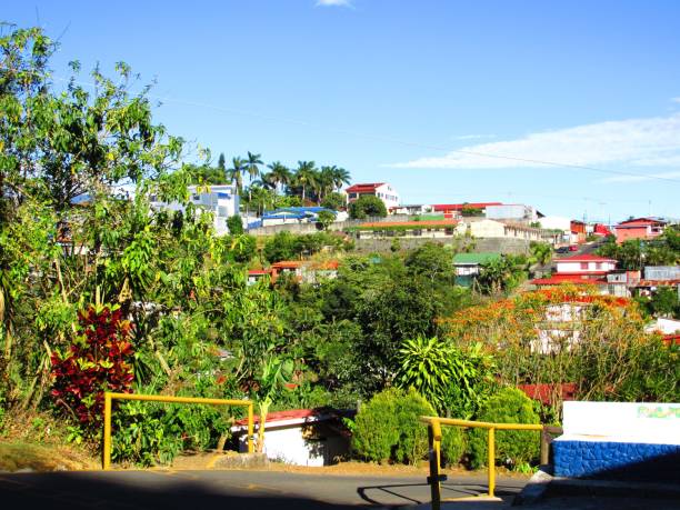 Coffee World, Costa Rican Coffee, 100% Arabic