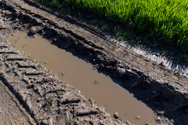 istock poor rural road without asphalt or other pavement 1492244253