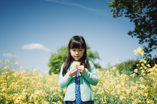 Asian beautiful girl standing inside a rapeseed field holding a bunch of yellow flower