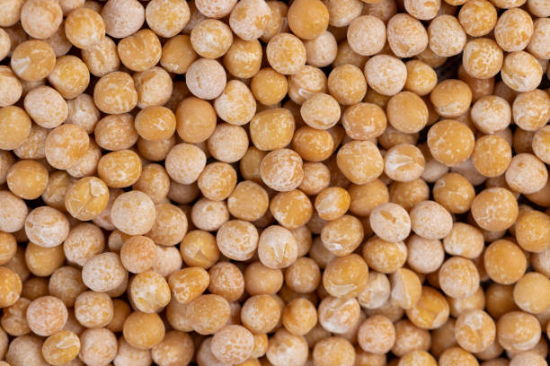 istock Round yellow peas for cooking porridge 1492247093