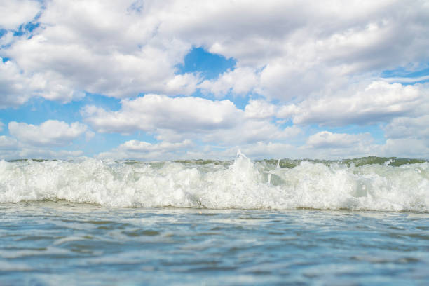 istock Sea surface with small waves and cloudy sky on the horizon. 1492247501
