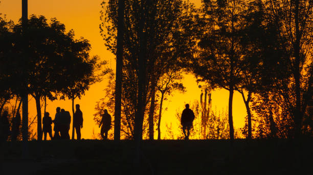 People walking in the city park at sunset. Silhouettes of people