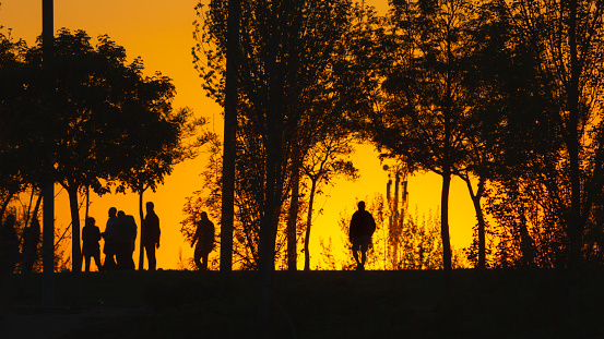 People walking in the city park at sunset. Silhouettes of people