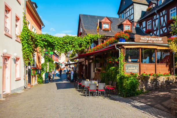 rudesheim am rhein vista aérea - 3670 - fotografias e filmes do acervo