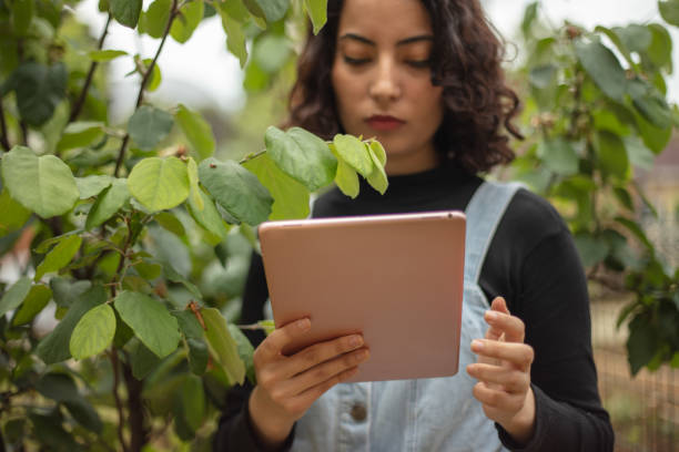 istock Young agricultural engineer woman is checking data about quince tree on tablet. 1492276099