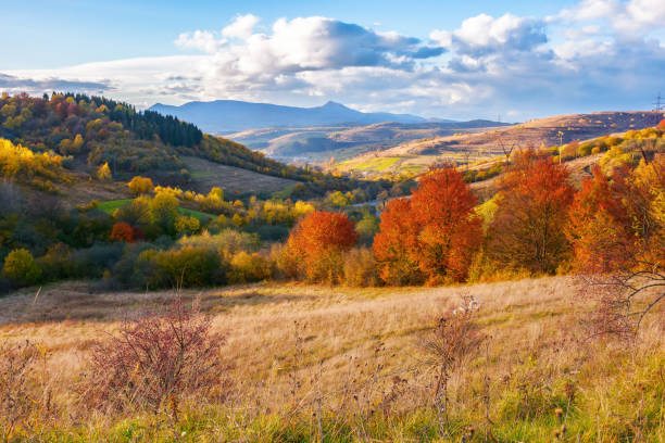 istock beautiful view in to the rural valley 1492281699