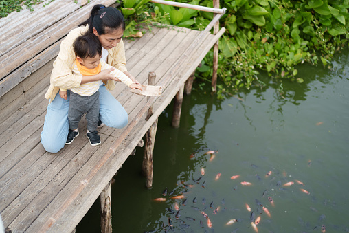 Lovely Asian mother and adorable baby boy feeding fish in urban garden together. Little toddler boy feeding fish in pond with his mother. Young baby animal experience outdoor learning family relation concept.