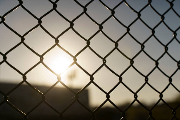 istock Mesh netting fence at sunset. Border, prohibition, protection, crisis concept 1492288899