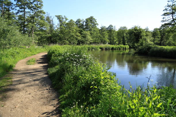 istock River Wey footpath Surrey England 1492289579