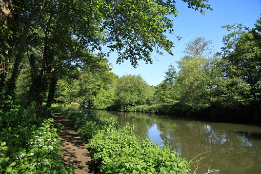 Lovely Spring sunny day River Wey footpath Guildford Surrey England Europe
