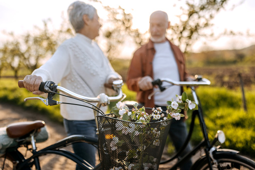 Senior couple with the bicycles in the nature