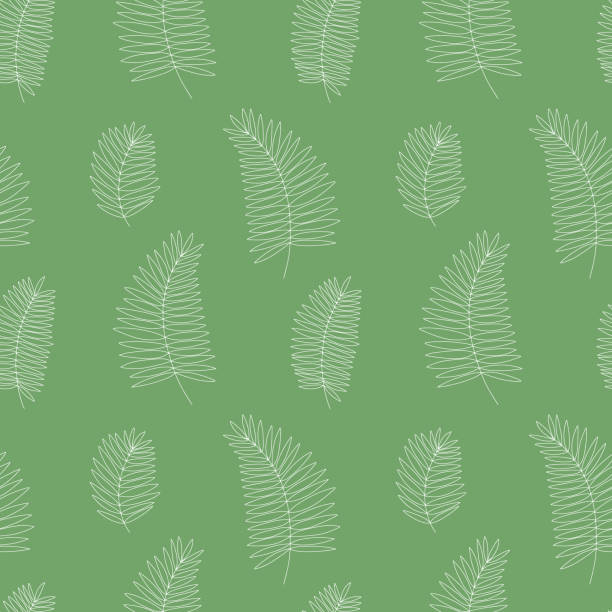 illustrations, cliparts, dessins animés et icônes de motif palmier - palm tree leaf tree frond