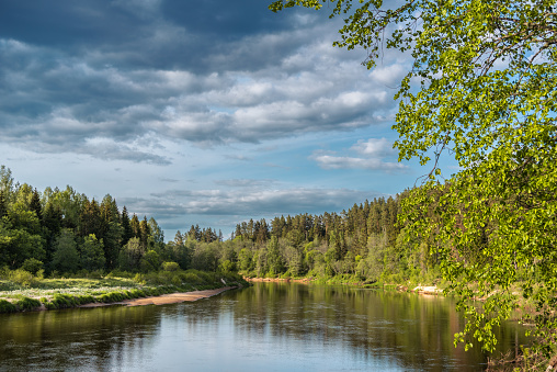 Gauja river in Cirulisi (latvian: Cruli) Nature Trails at spring in Cesis (latvian: Csis), Latvia