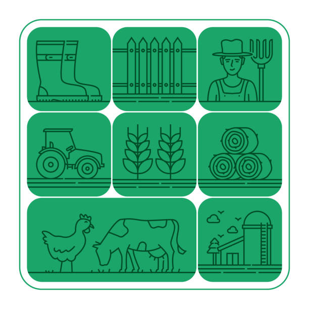 ilustrações, clipart, desenhos animados e ícones de farm and agriculture banner line ícone set design - farm vegetable black landscape