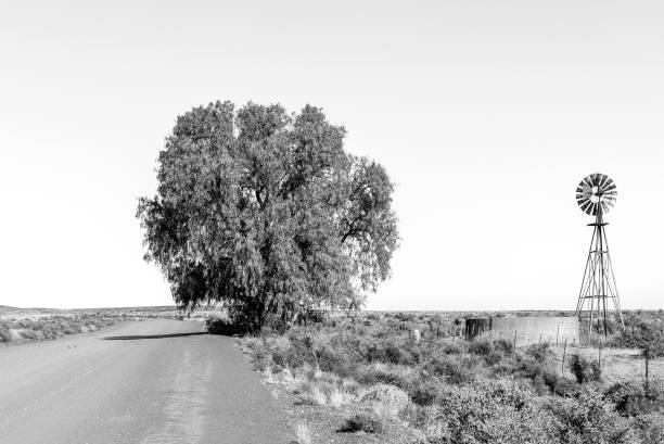 A landscape, with a windmill, dam and large tree, on the road between Loxton and Fraserburg in the Northern Cape Karoo. Monochrome
