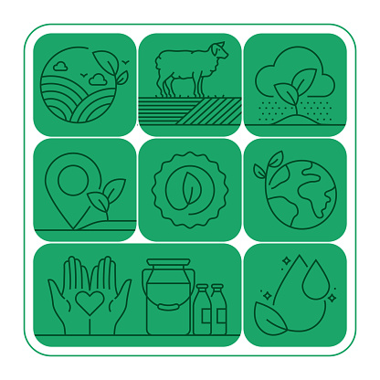 Organic Banner Line Icon Set Design