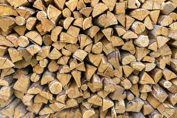 istock Stack of freshly cut firewood, prepared for the winter 1492308200