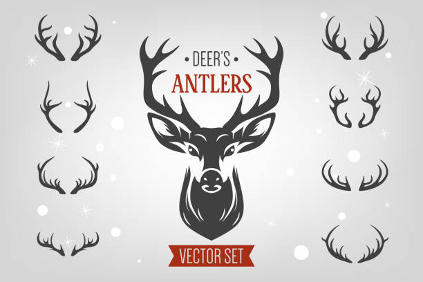 Vector Christmas Reindeer Horns, Antlers. Deer Horn Silhouettes. Hand Drawn Deers Horn, Antler Set. Animal Antler Collection. Design Elements of Deer. Wildlife Hunters, Hipster, Christmas Concept.