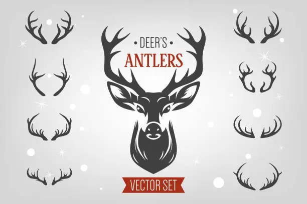 Vector illustration of Vector Christmas Reindeer Horns, Antlers. Deer Horn Silhouettes. Hand Drawn Deers Horn, Antler Set. Animal Antler Collection. Design Elements of Deer. Wildlife Hunters, Hipster, Christmas Concept