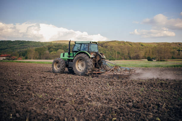 istock Senior farmer driving a tractor on agricultural field 1492312915