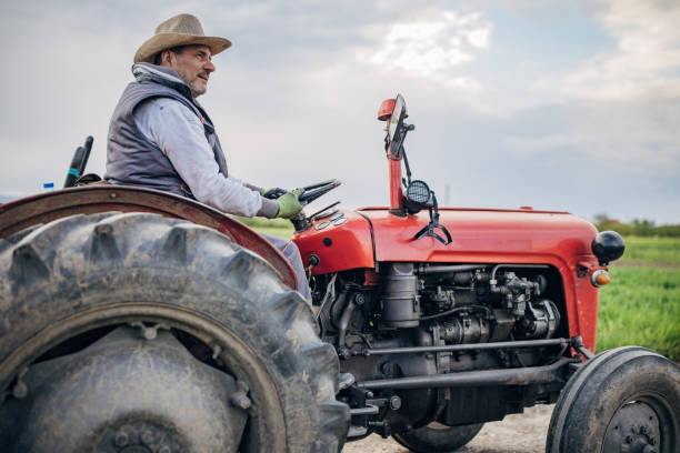 istock Senior farmer driving a tractor on agricultural field 1492313770