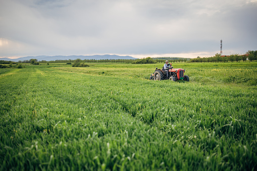 Senior farmer driving a tractor on agricultural field