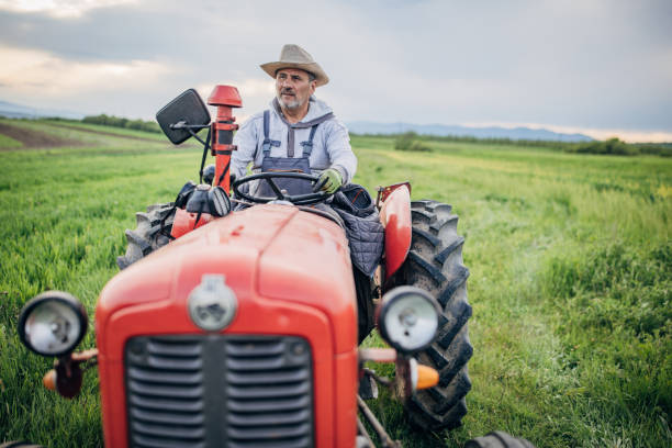 istock Senior farmer driving a tractor on agricultural field 1492315057