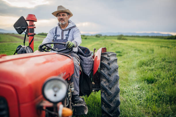 istock Senior farmer driving a tractor on agricultural field 1492315142