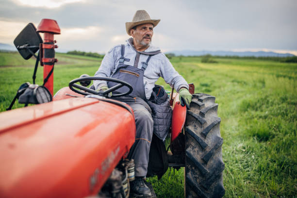 istock Senior farmer driving a tractor on agricultural field 1492315165