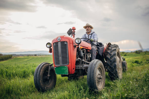 istock Senior farmer driving a tractor on agricultural field 1492315196