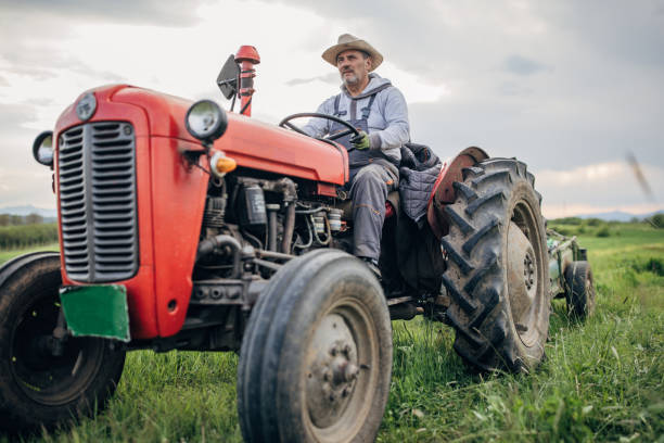 istock Senior farmer driving a tractor on agricultural field 1492315232