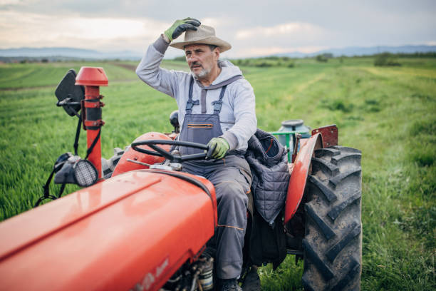 istock Senior farmer driving a tractor on agricultural field 1492315331