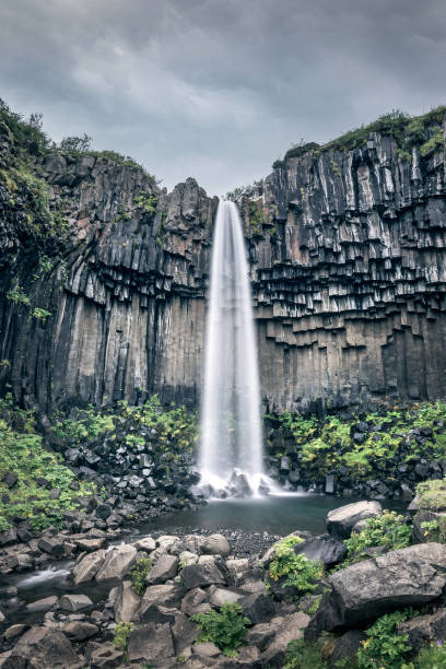 istock Scenic Svartifoss waterfall in summer, Iceland 1492315389