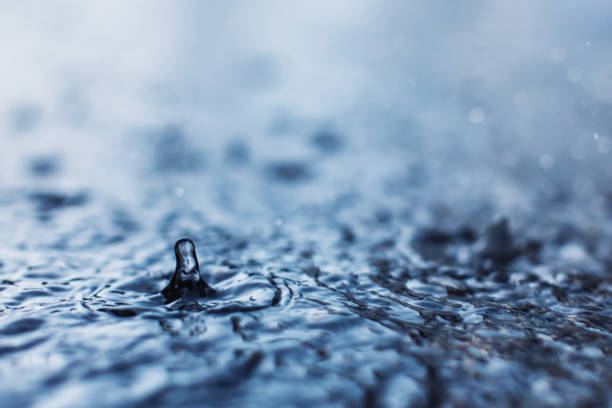 Raindrops on asphalt. Rain.