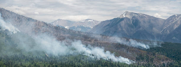 istock Panorama of Forest Fire in Kootenay 1492316312