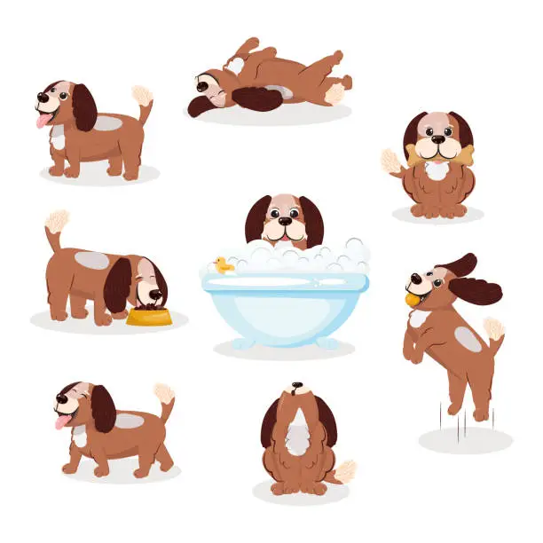 Vector illustration of Various poses of a cute domestic dog. Set of a cute dog.