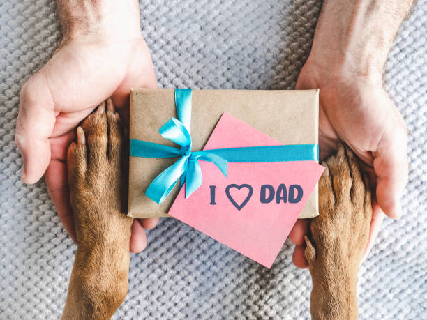 Dog paws, male hands and gift box
